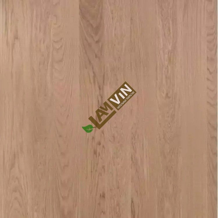 Sinteros Europlank (Oak Cream)